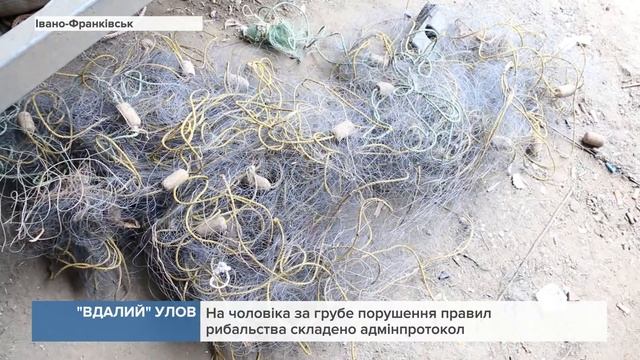 "Вдалий" улов: На Прикарпатті затримали чоловіка, котрий упіймав червонокнижну рибу смотреть онлайн