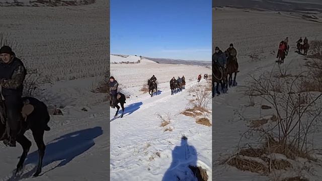 конные прогулки смотреть онлайн