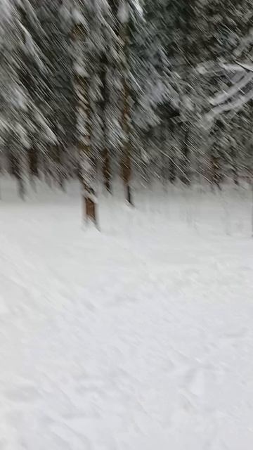 07.04.2025 весна