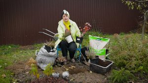 Кислый торф. Кому подходит и как использовать.