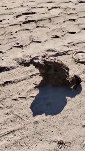 Тяжелая женская доля смотреть онлайн