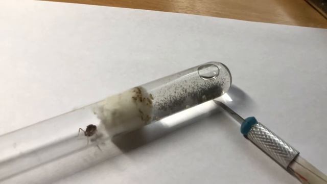 Распаковка посылки // 4 смотреть онлайн