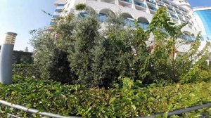 Turkey2020 - Water Side Resort & Spa 5*