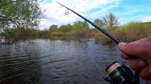 Ловля щуки в поле! Рыбалка на воблер 2022 ! Рыбалка на спиннинг!