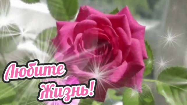 Любите Жизнь! смотреть онлайн