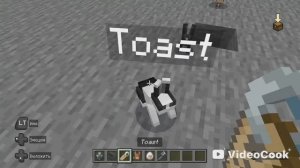 Магия бирки в майнкрафт:перевёрнутый моб, радужная овечка, страшный кролик, очень злой поборник.