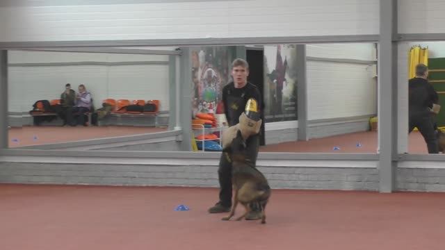 Защита Захаров Андрей. Конкурс фигурантов 2025. Раздел НацВиды.