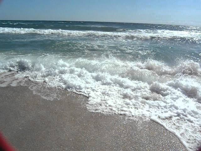 Беляус смотреть онлайн