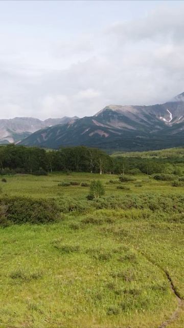 Кордон на Камчатке смотреть онлайн