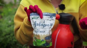 Специальное удобрение для голубики. Комплексное, водорастворимое, с полезными микроэлементами.