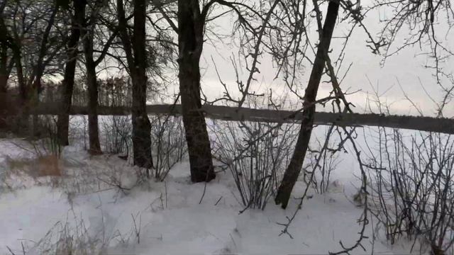 Охота на зайца январь 2024 смотреть онлайн
