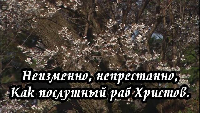 Ксения Лапицкая - За Тобою_ мой Спаситель смотреть онлайн