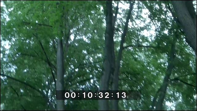 Олег Казенков о СДКП смотреть онлайн