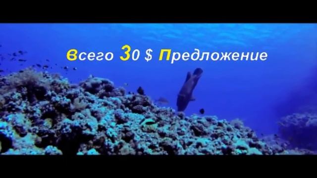 Шарм Эль Шейх 2019 смотреть онлайн