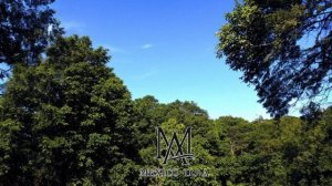 Anturage, Anton Ishutin - You Lied To Me. -Музыка для души!