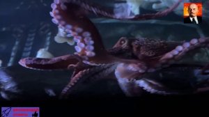 Самый большой осьминог в мире 🫢 Размеры этих осьминогов вас удивят-