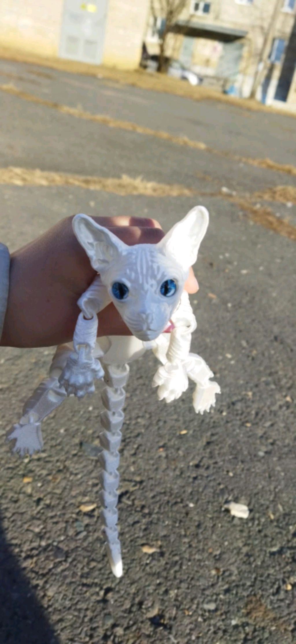 собираюсь на прогулку