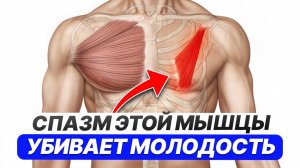 ГЛАВНЫЙ СЕКРЕТ молодости: расслабьте ЭТУ мышцу! / 3 простых упражнения для омоложения и здоровья!