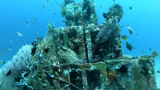 Scuba diving in Amed - Bali смотреть онлайн