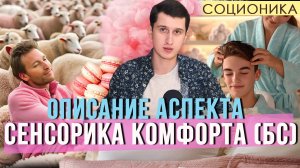 ОПИСАНИЕ АСПЕКТА СЕНСОРИКА КОМФОРТА (БС) В СОЦИОНИКЕ