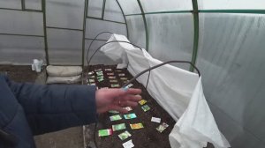 Что важно посеять в начале апреля?