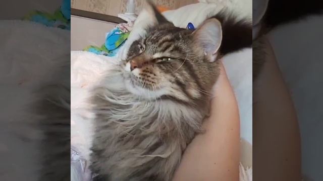 нечеловеческая любовь. смотреть онлайн