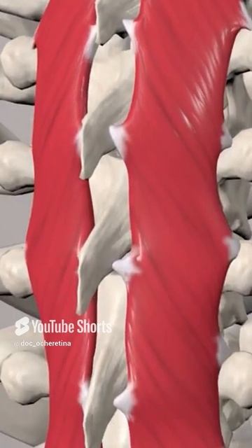 Доктор, после которого все беременнеют! смотреть онлайн