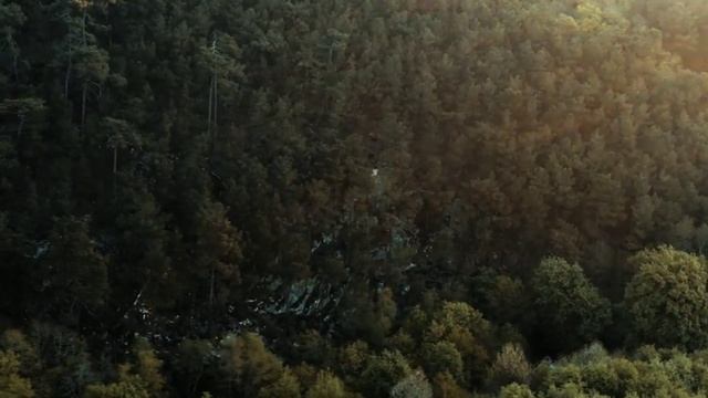 The Jungle EPISODE 02 !! Fight For Alive !! Mini Web Series !! Mr.X STROM смотреть онлайн