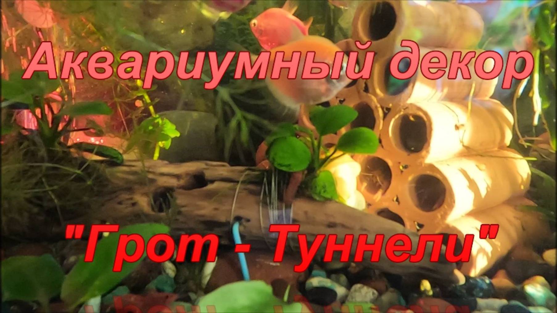 Аквариумный декор грот туннели. смотреть онлайн