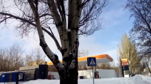 Донецк, Киевский пр-т, Путиловка