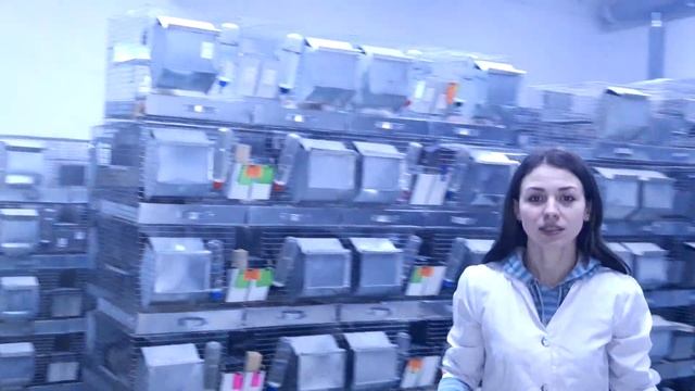 Шиншилловая ферма Chinchilla.fur.ukraine.Экскурсия | Chinchilla.Fur.Ukraine смотреть онлайн