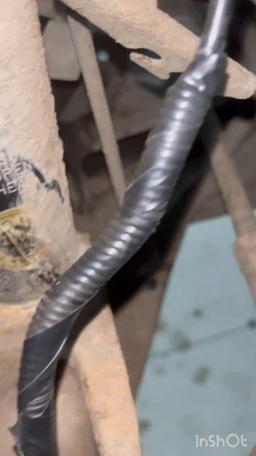 Веселые моральные эксперименты