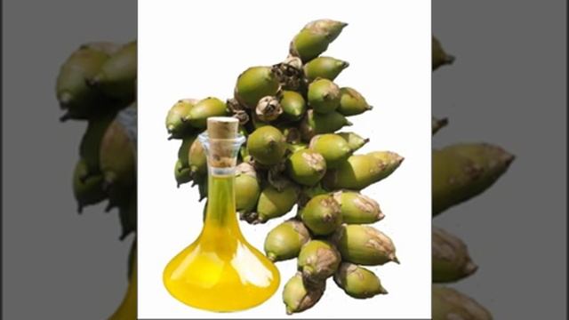 Babassu Oil Benefits