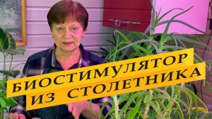 Стимулятор роста, подкормка для рассады и взрослых растений.