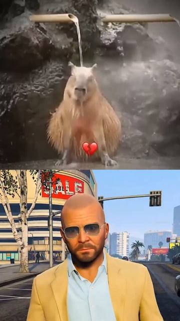 CAPYBARA RIDING CROCODILE смотреть онлайн