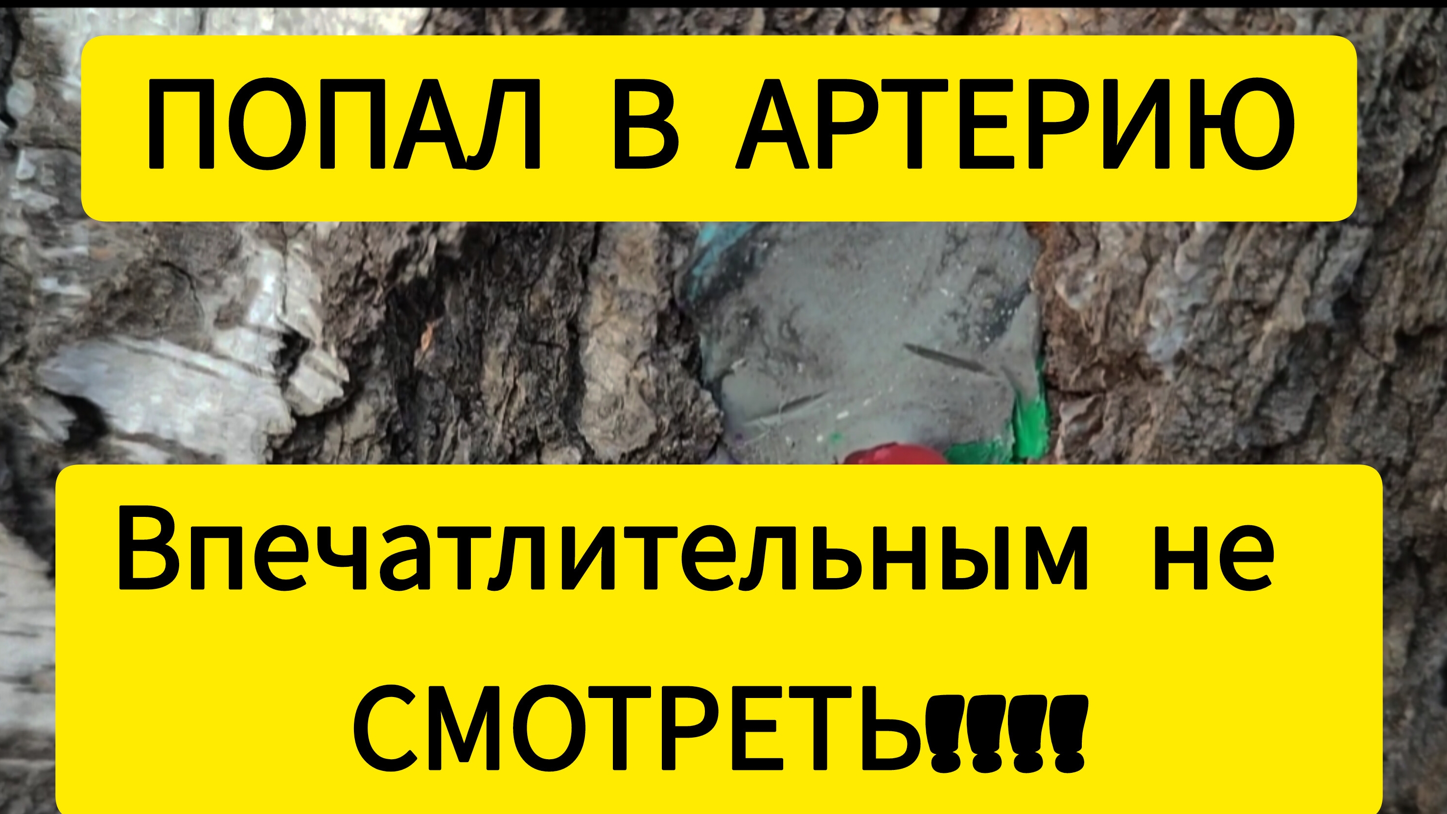 за 2часа 5л.березрвого сока