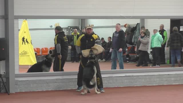 Защита Кононов Александр. Конкурс фигурантов 2025. Раздел НацВиды.