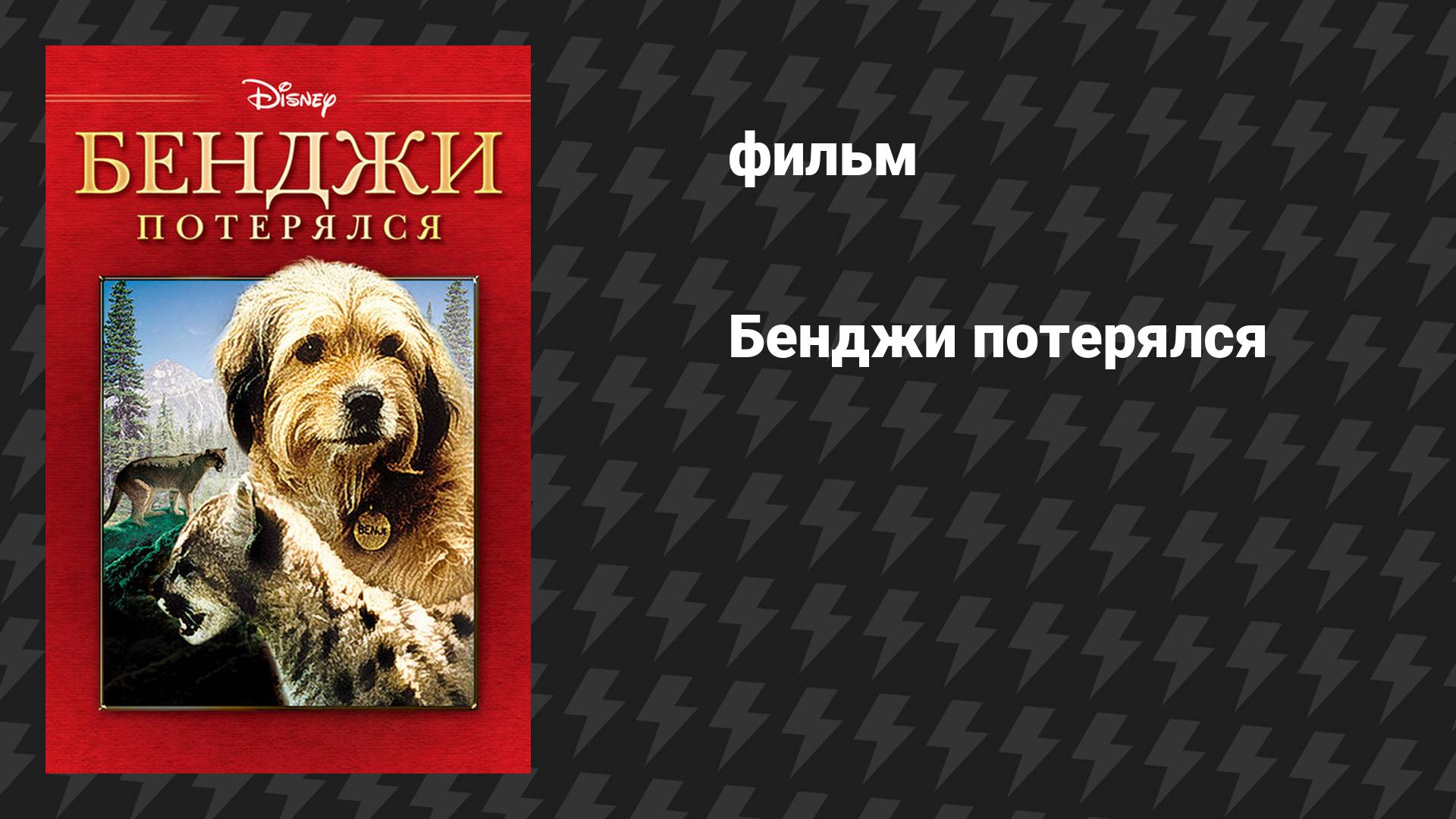 Бенджи потерялся (фильм, 1987)