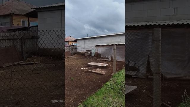 Продается дом в с. Завальское, Белгородская обл, Красногвардейский р-н. Тел 89100309077 смотреть онлайн