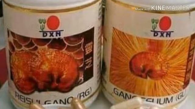 Dxn the king of herbs ganodarma rg .gl use powers full yours health смотреть онлайн