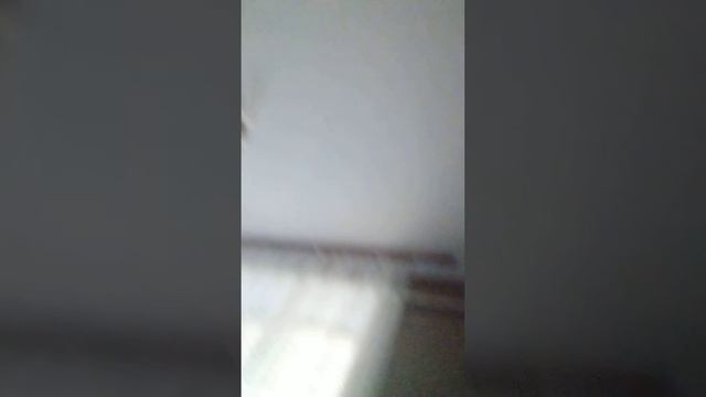 3 березня 2024 р. смотреть онлайн