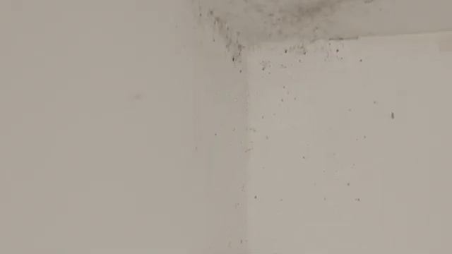 How to Prepare Your Walls for Painting | Benjamin Moore смотреть онлайн