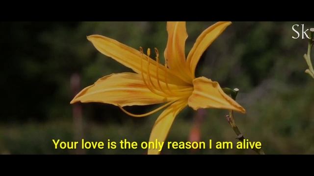When I don't see you my love, So lonely are my days you are the reason смотреть онлайн