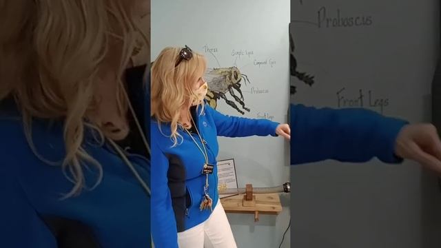 Botanica Bee House смотреть онлайн