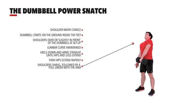 The Dumbbell Power Snatch смотреть онлайн