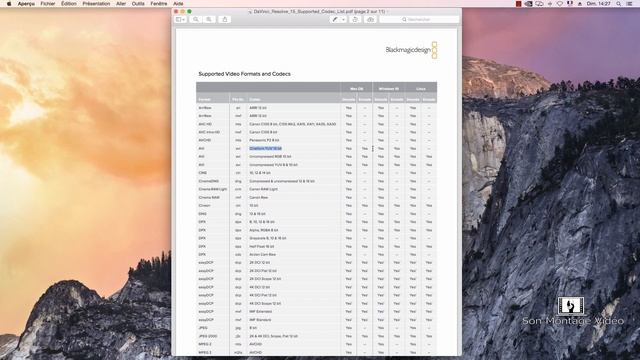 Quels Codecs sont lus par Davinci Resolve ? смотреть онлайн