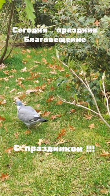 С праздником и хороших всем вестей смотреть онлайн