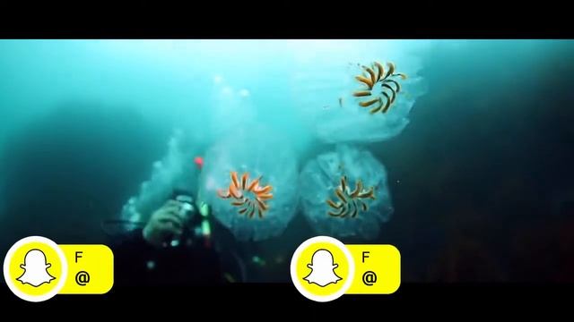 Social Media Lower Thirds DaVinci Resolve Macros