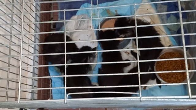 Нашел коробку и поддон. 30.08.2023 смотреть онлайн