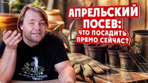 АПРЕЛЬСКИЙ ПОСЕВ: что посадить прямо сейчас?
